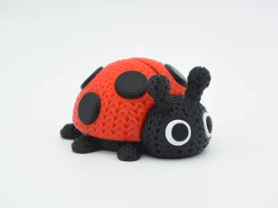 Lottie the Ladybug