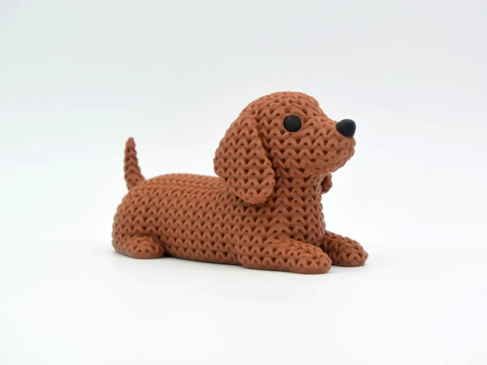 Dylan the Dachshund