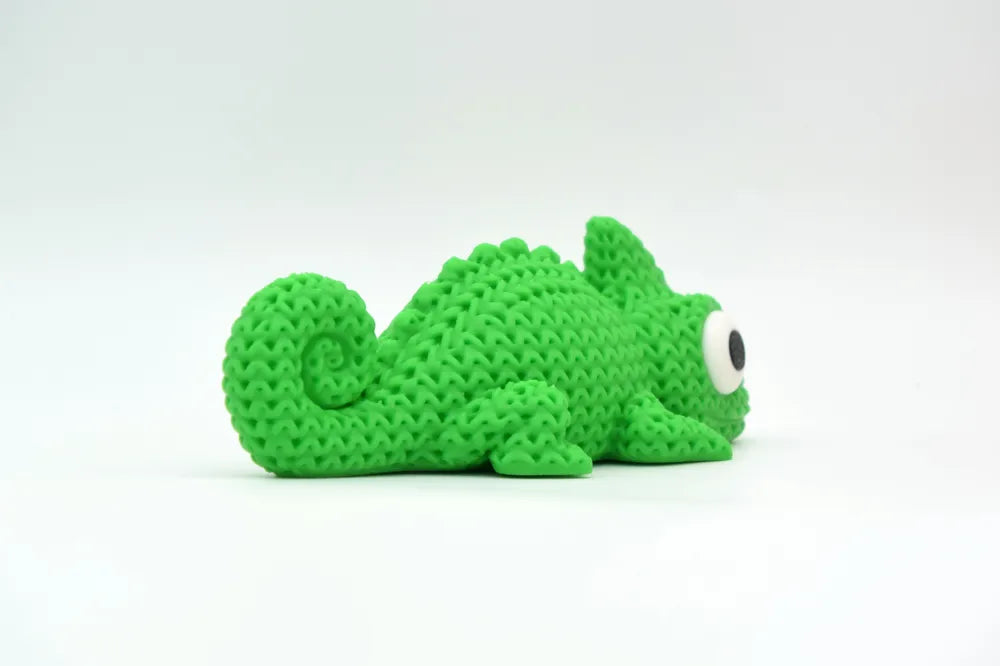 Chip the Chameleon