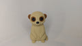 Monty the Meerkat