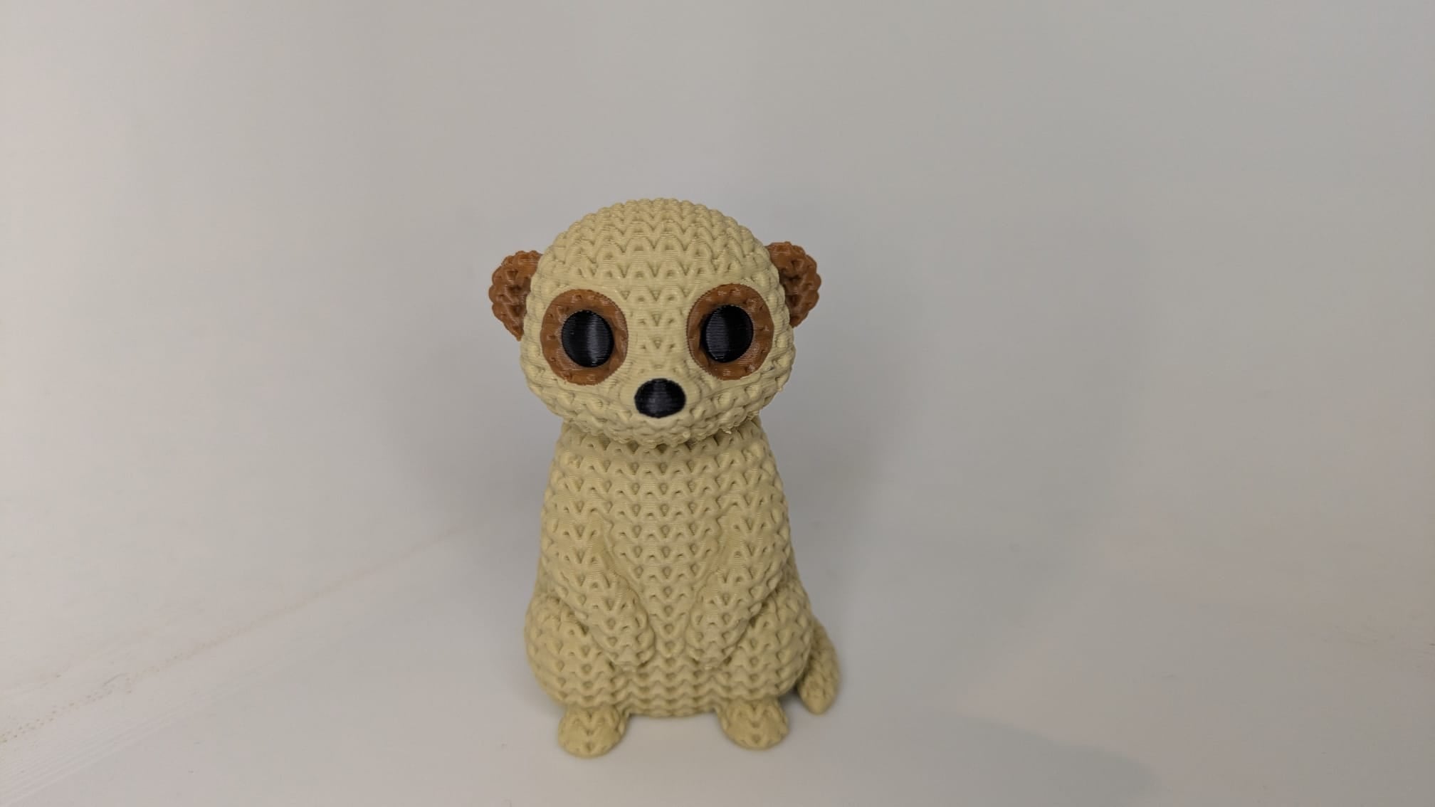Monty the Meerkat