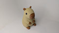 Coco the Capybara