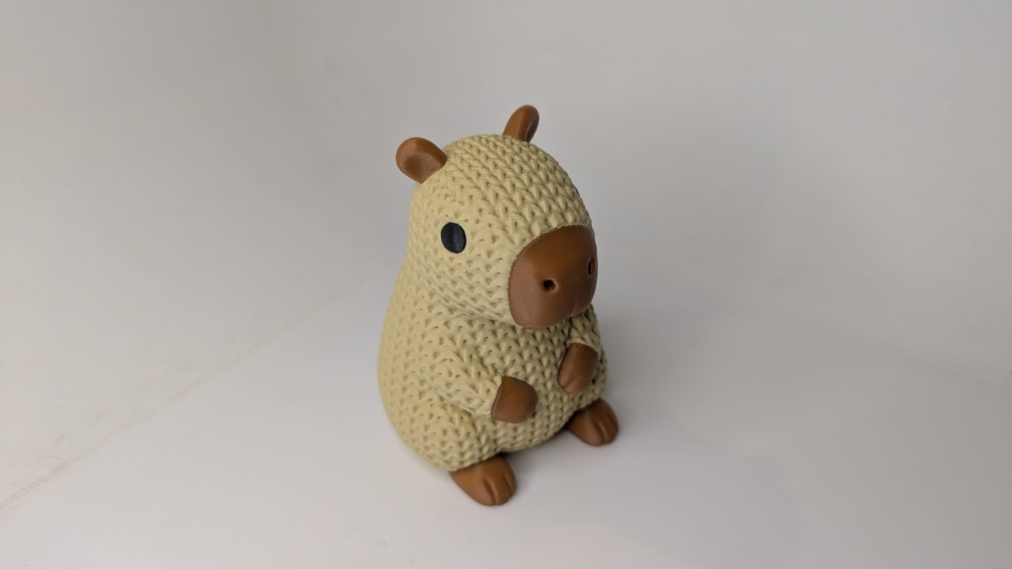 Coco the Capybara