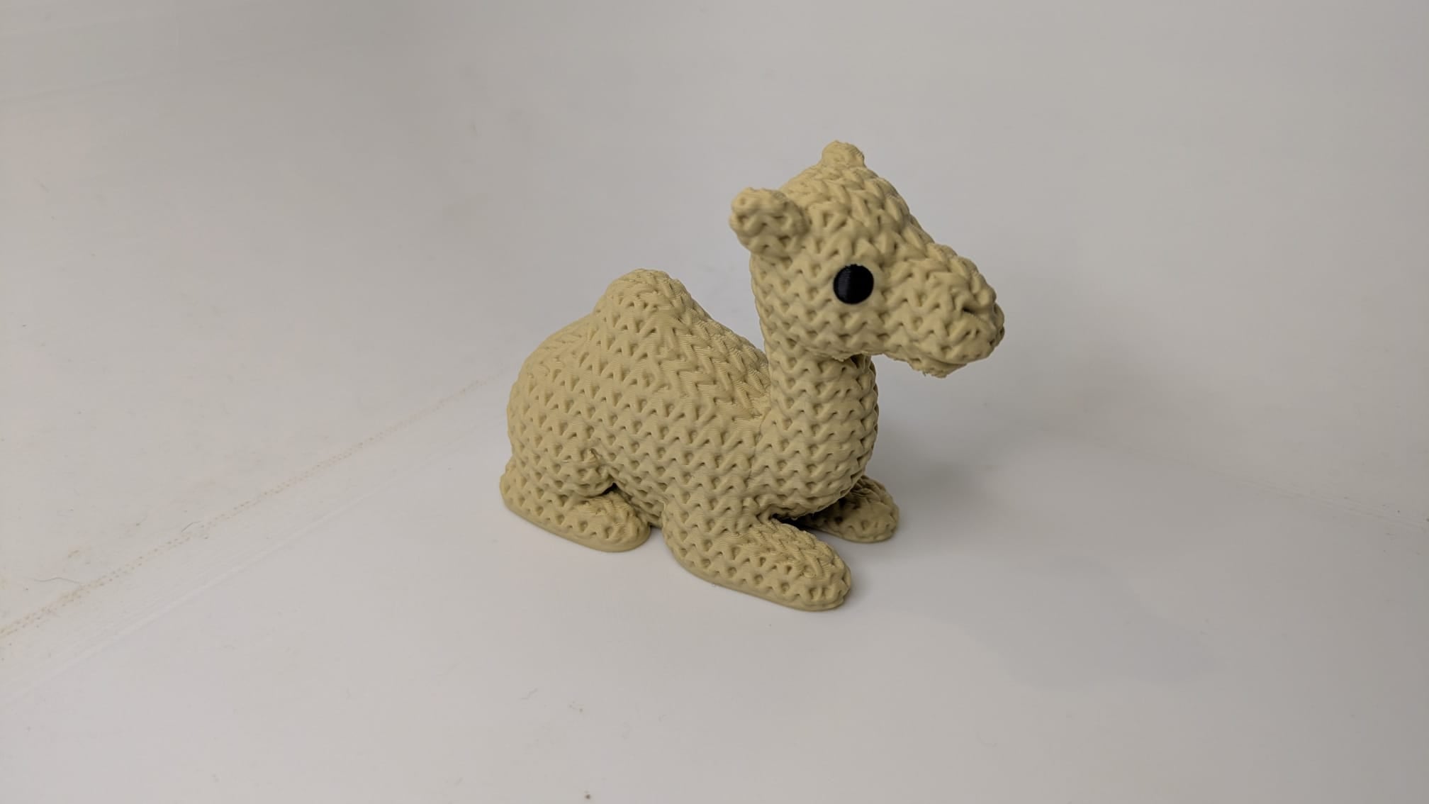 Connie the Camel