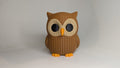 Olivia the Owl