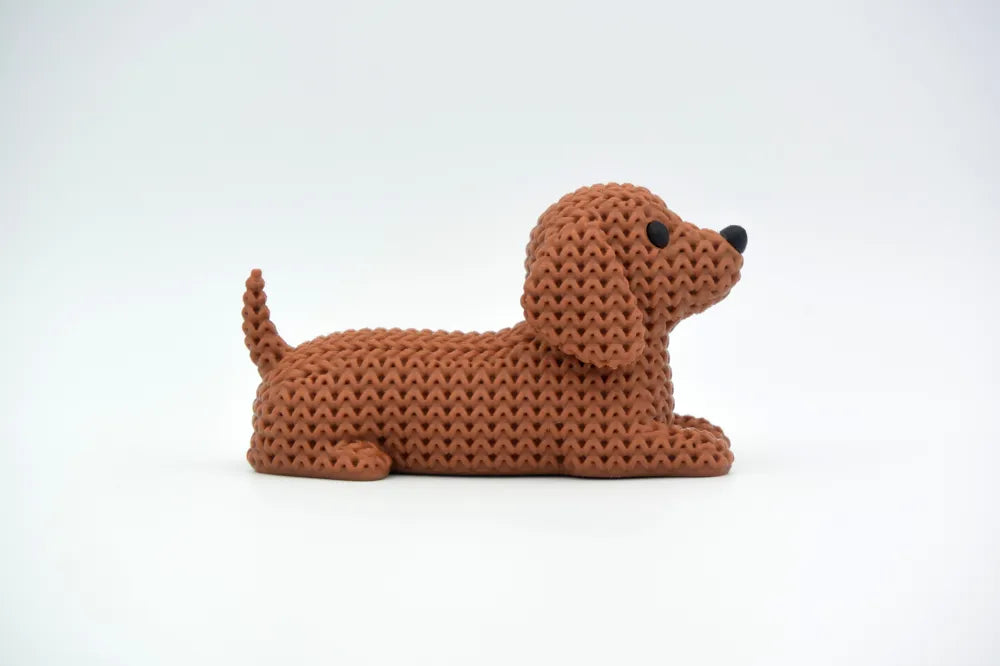 Dylan the Dachshund