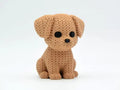 Doodles the Dog